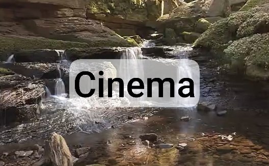 Video 1